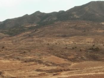 锦州凌海市 700亩 畜牧养殖用地 经营权转让