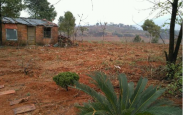 黄石大冶市 16亩 空闲地 使用权出租