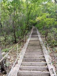 葫芦岛建昌县 1500亩 有林地 经营权出租