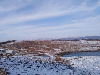 随州随县 4000亩 茶园 经营权出租