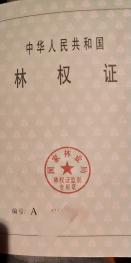 绵阳平武县 100亩 有林地经营权 出租