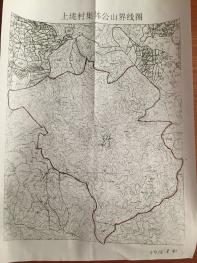 株洲攸县 5436.8亩 其它林地 经营权转让