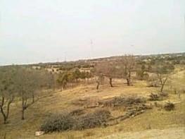 阜新彰武县 200亩 旱地 经营权转让