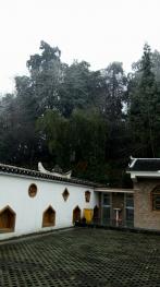 遵义汇川区 100亩 旱地 经营权合作