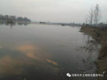 南阳内乡县80亩果园经营权转让