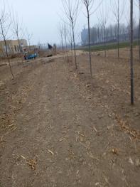 聊城东昌府区2018-2020年棚户区改造108处!有