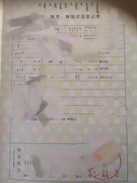 锡林郭勒盟多伦县 400亩 有林地 经营权转让