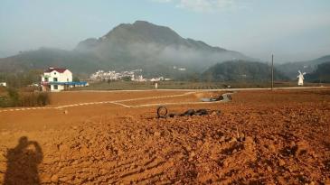 池州青阳县 280亩 旱地 经营权转包