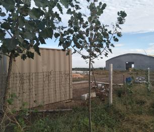 烟台莱阳市 80亩 综合养殖用地 经营权转让