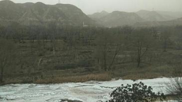 兰州西固区 65亩 有林地 经营权入股