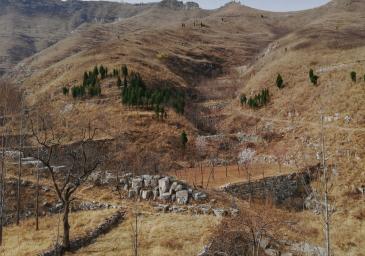 潍坊青州市庙子镇900亩荒山使用权出租