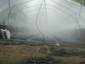 百色田东县 32亩 水田 经营权转让