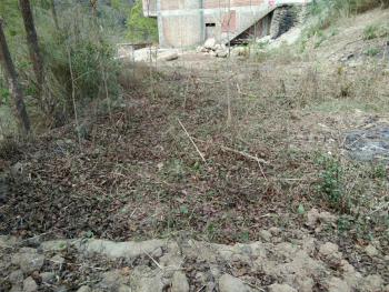 昭通大关县1000平米宅基地使用权出租