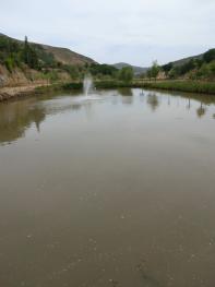 平凉静宁县 1000亩 农场 经营权转让