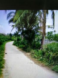 海南陵水 3300平米 宅基地 使用權(quán)出租