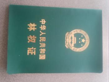 齐齐哈尔泰来县 4186亩 有林地 经营权转让