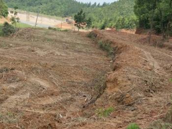 上饶余干县 200亩 农场 使用权转让