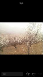 锦州凌海市 700亩 畜牧养殖用地 经营权转包