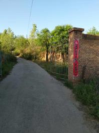 运城绛县 1787.41亩 有林地 经营权转让