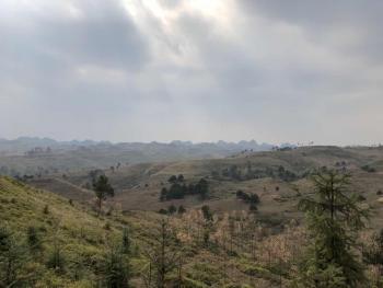 黔南荔波县 2000亩 其它草地 先开发后利用
