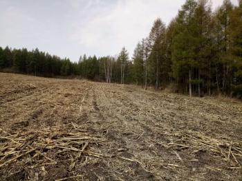 吉林  蛟河市 1590亩 有林地 经营权转让