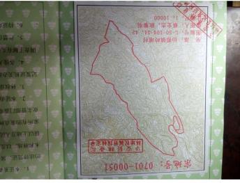 漳州华安县 1100亩 有林地 转让