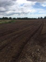 海南省落户新政:关于引进人才落户实施办法琼