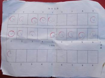 海南  儋州 120平米 宅基地 使用權(quán)出租
