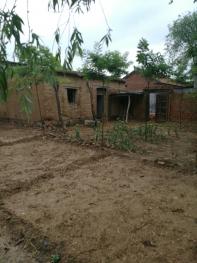 菏泽郓城县 1280平米 宅基地 使用权出租