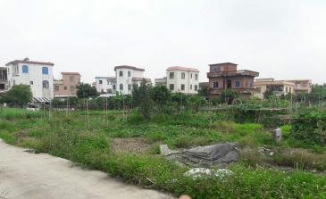 廣州南沙區(qū) 309平米 宅基地 使用權(quán)出租