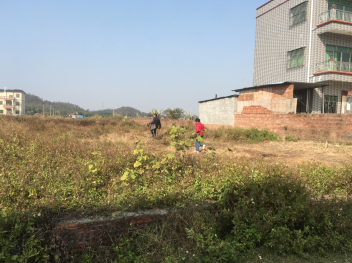 惠州惠城區(qū) 214平米 宅基地 使用權出租