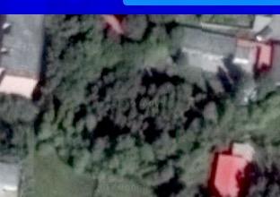 伊犁尼勒克县 2000平 宅基地 使用权出租