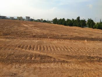 2017-2030年广东省人口发展规划:广州、深圳