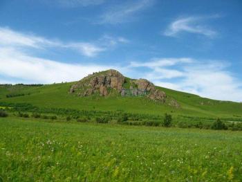 龙岩永定区 2500亩 天然牧草地 合作