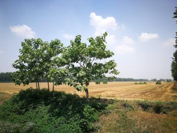 2018年周口市最新五大片区棚户区改造计划,快