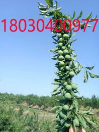 2016贵州易地扶贫搬迁政策说明书(全文)