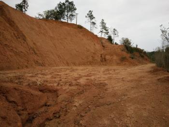 三明宁化县 10亩 其它林地 转让