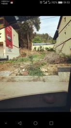 綿陽游仙區(qū)208平方米農(nóng)村宅基地使用權出租