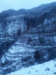 汉中勉县 300亩 旱地 经营权出租