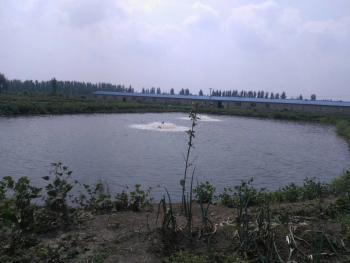 唐山丰南区 30亩 农场 使用权转让