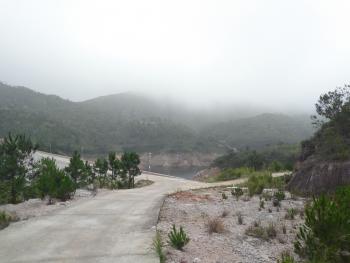 漳州云霄县 8000亩 有林地 合作