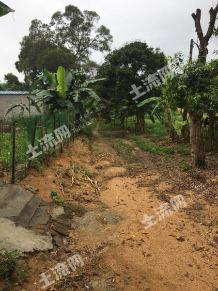 广东中山 250平米 宅基地 转让