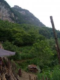 乐山沙湾区 5000亩 荒山 使用权出租