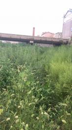 本溪本溪满族自治县 260亩 荒地 使用权出租