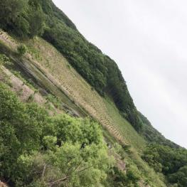 抚顺新宾满族自治县 70亩 综合养殖用地 经营权转让