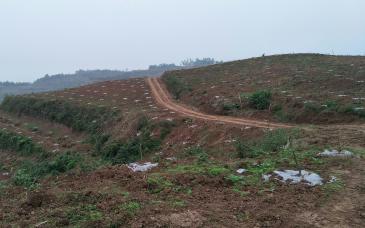 2018年四川眉山社会保险费缴费标准:每月缴多