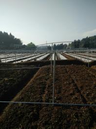 2018年四川资阳高温补贴标准:每人每天增加4