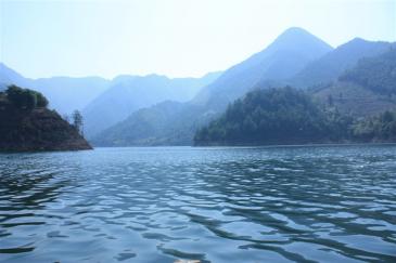 衢州江山市 1000亩 乔木林地 经营权转让