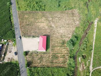 撫順新賓滿族自治縣 140平米 宅基地 使用權(quán)出租