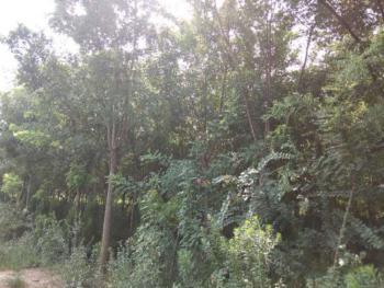 聊城东昌府区2018-2020年棚户区改造108处!有